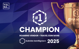 #1 Champion in Travel eSIM MVNE